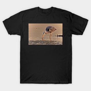 FISH & RIPPLE T-Shirt